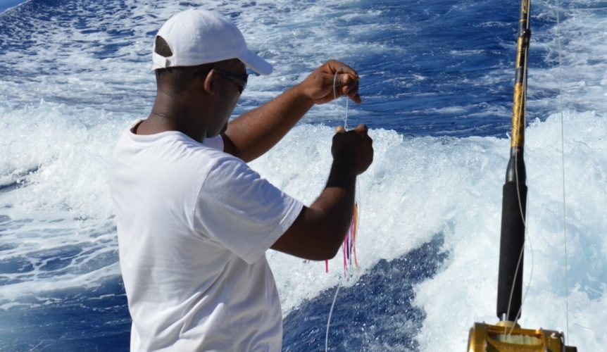 hamecon pêche aux gros Île Maurice