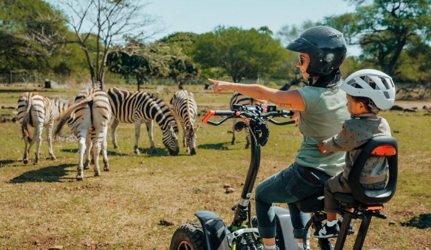 zebre activate nature - Safari eco rider casela nature park
