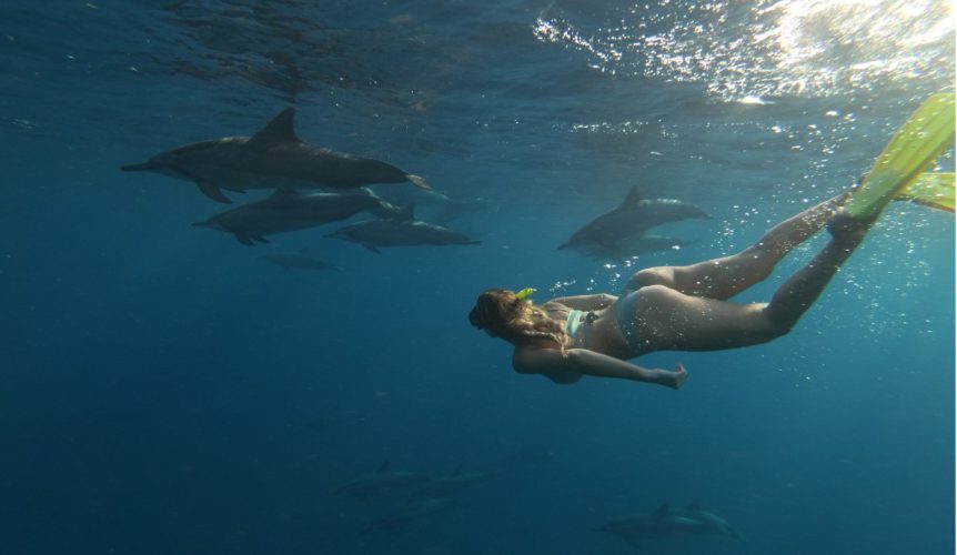 nage avec excursion dauphin rivierenoire ile maurice