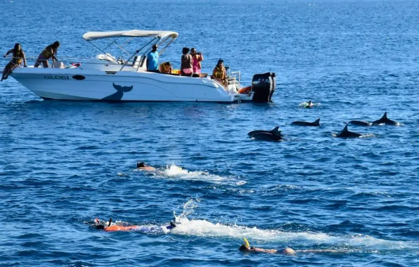 3dauphins-ile-maurice-862x550