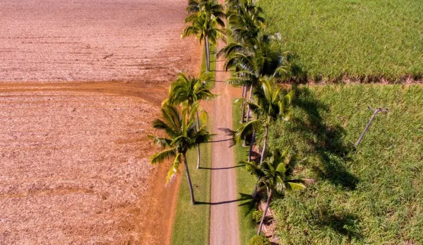 4VELO-ELECTRIQUE-ILE-MAURICE-SEJOUR-MAURICE-VACANCE-ILE-MAURICE-862x50