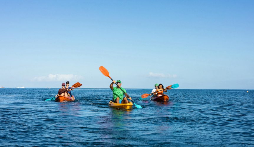 Dauphins-en-kayaks-862x500