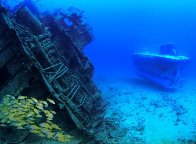 feature-sous-marin-blue-safari4-680x500