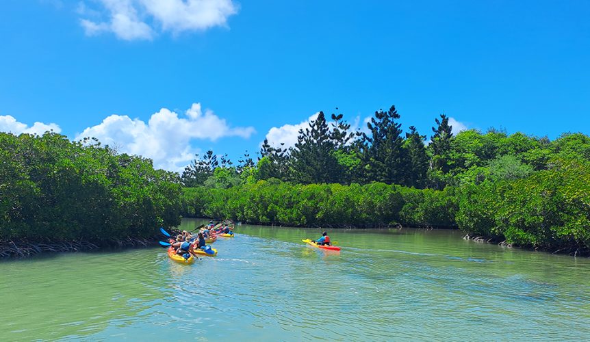 kayak-16-copy-862x500