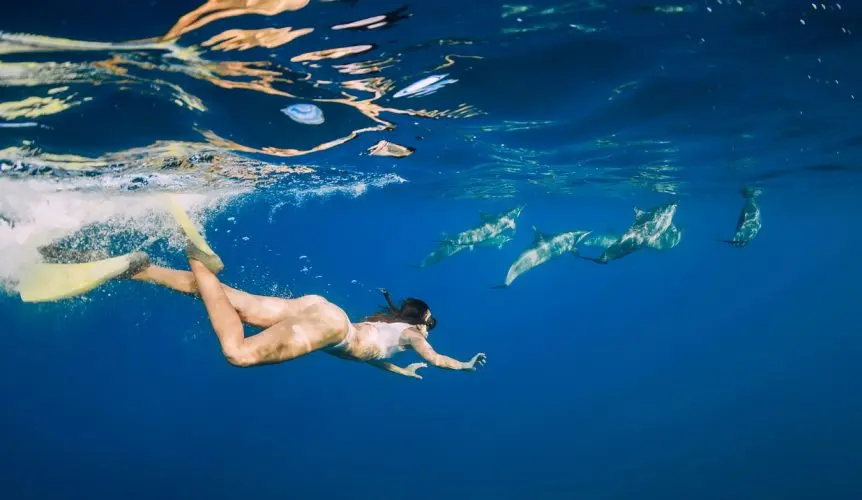 nager-avec-dauphins-862x500