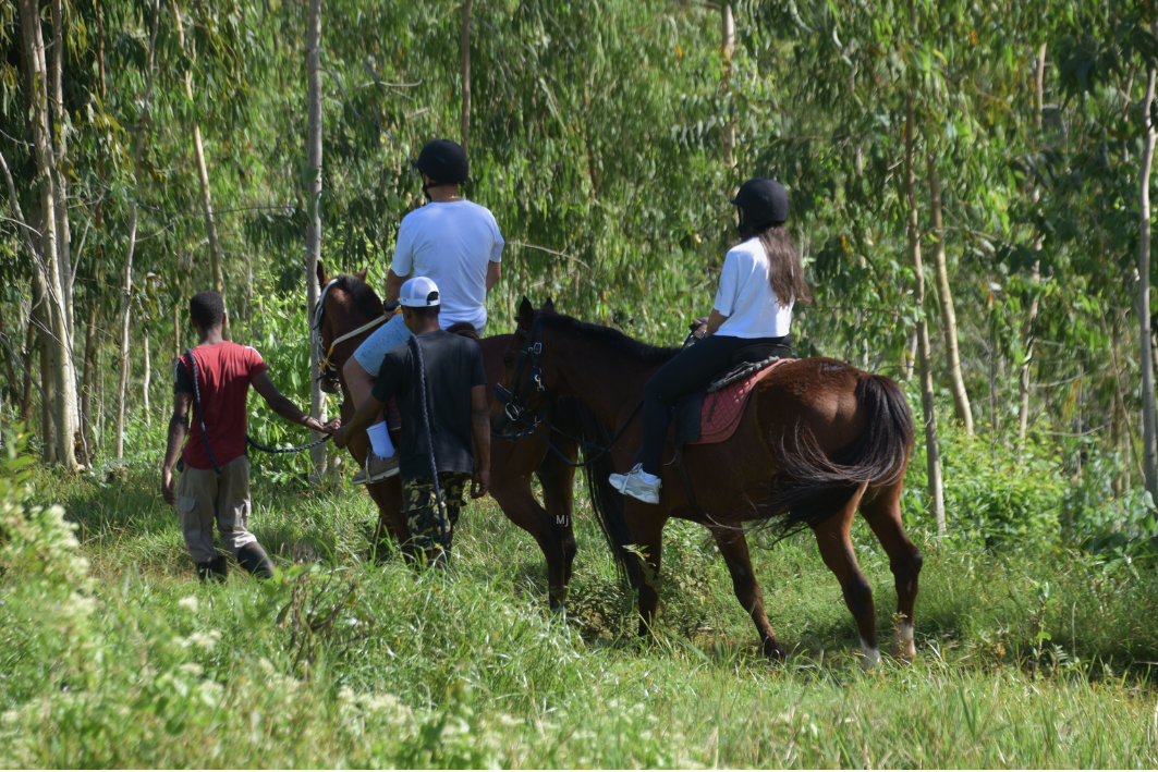 cheval
