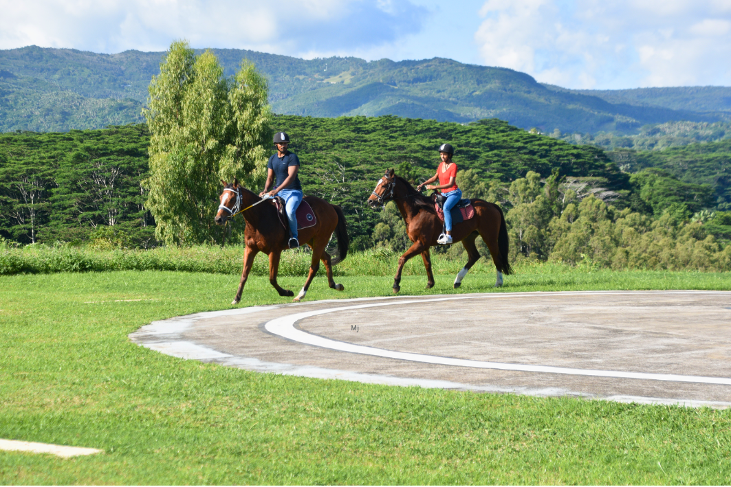 marche cheval