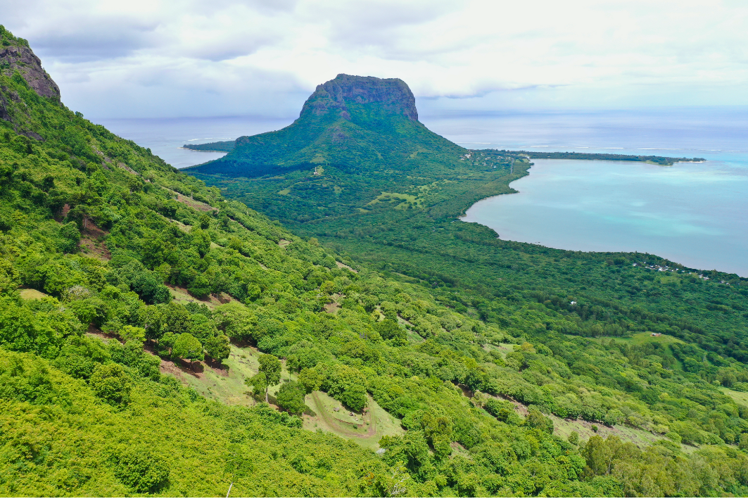 morne