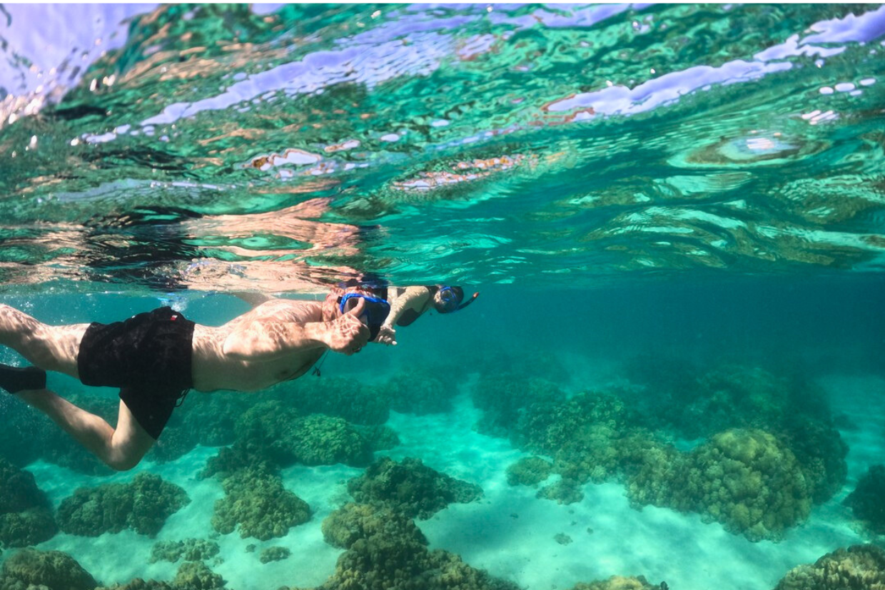 snorkeling ile maurice iles du nord