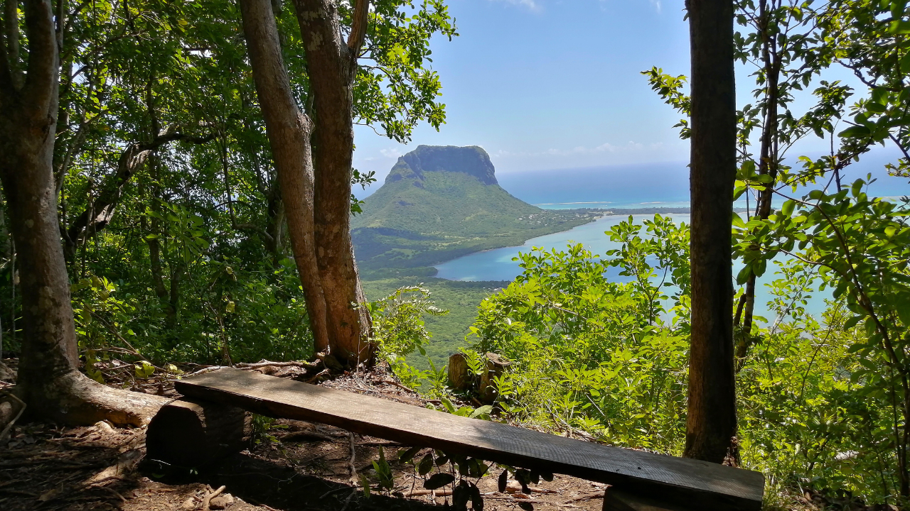 vue ebony forest chamarel