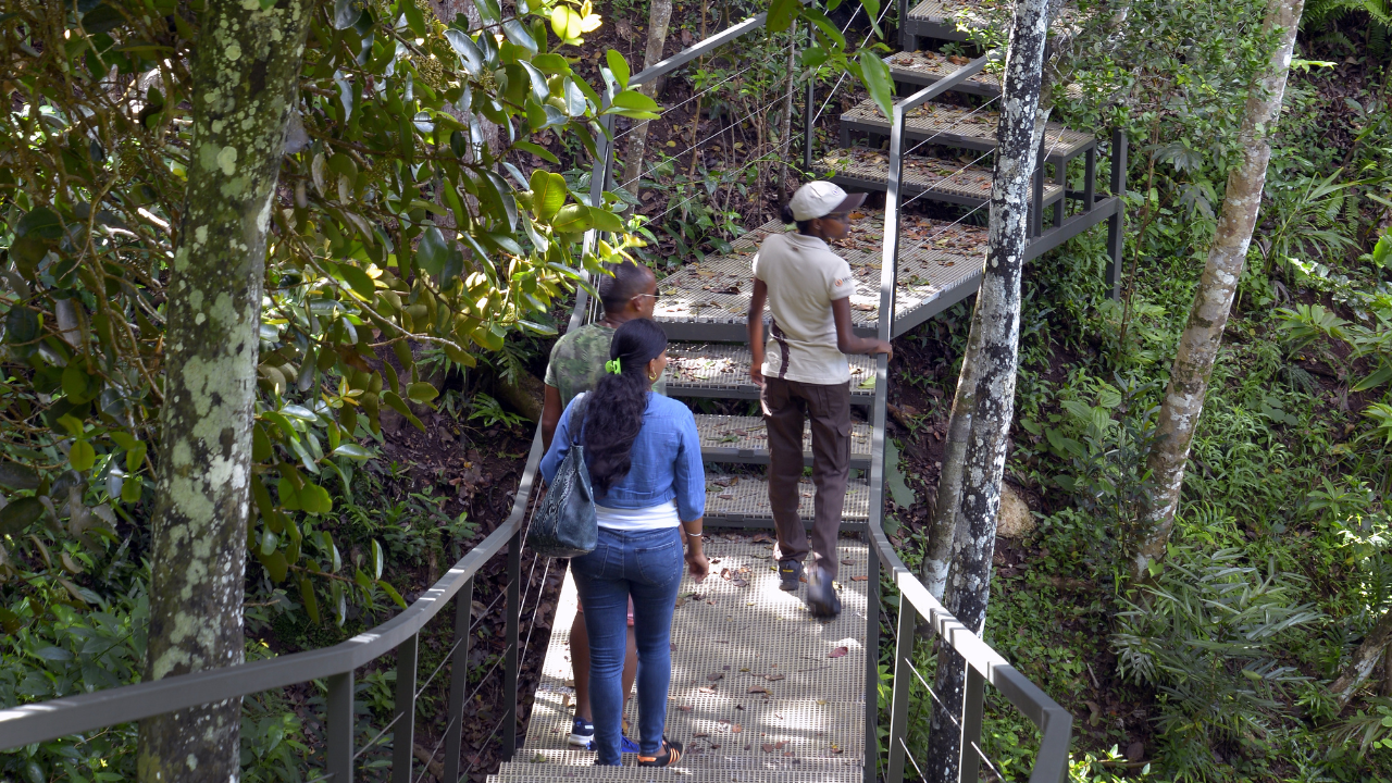 marcher ebony forest chamarel