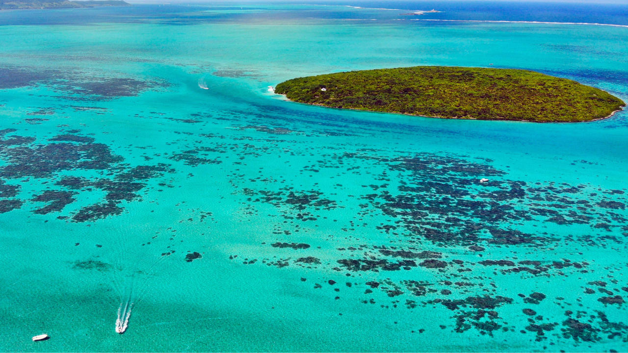 ile de l'est de maurice ile aux aigrettes