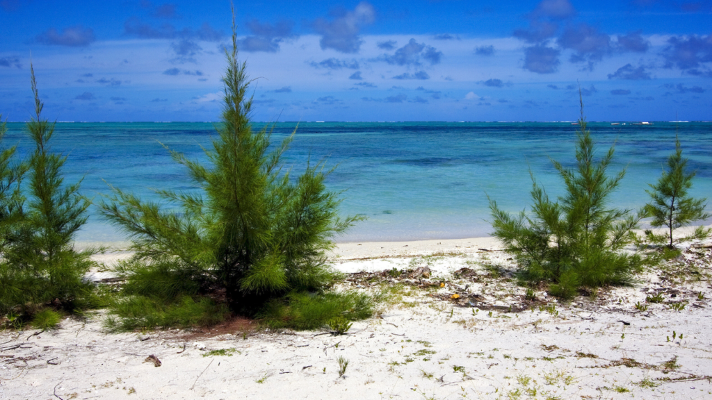ile de l'est de maurice ile aux cerfs