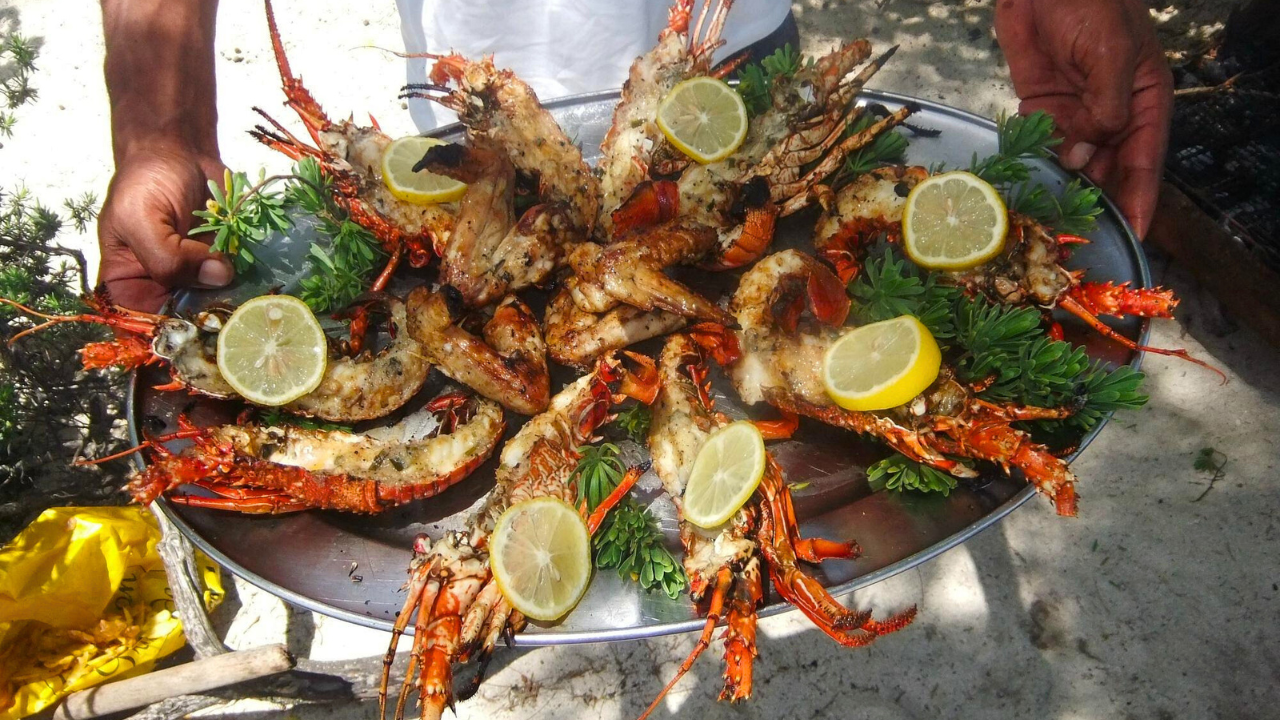 langouste 2
