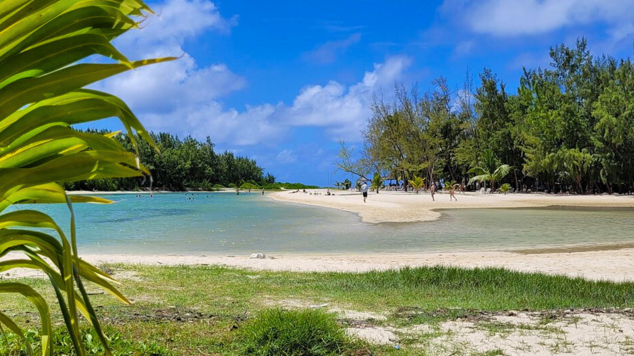 ile de l'est de maurice ile aux aigrettes ile aux cerfs