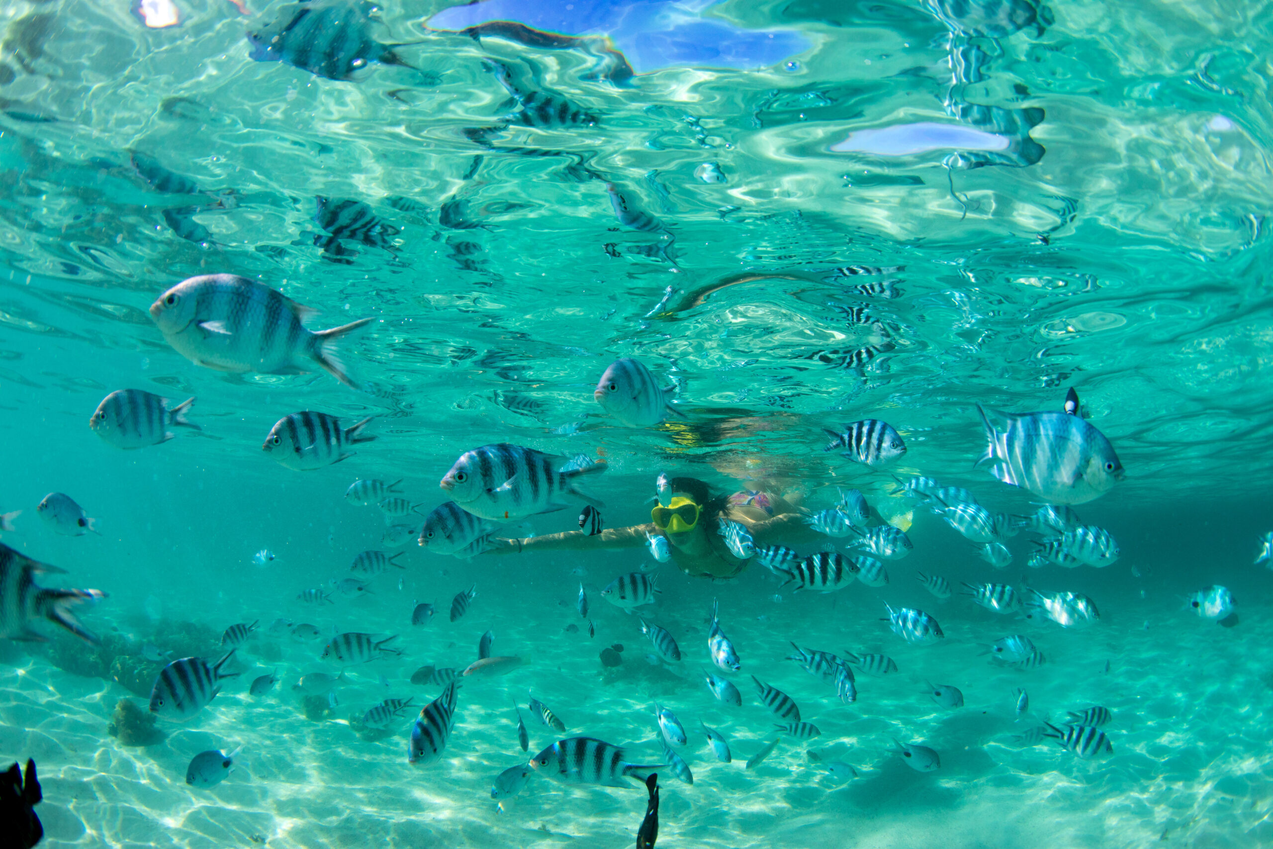 Beautiful girl with black hair has been snorkeling on the island of Mauritius in the Indian Ocean. She feeds the fish under water in clear turquoise water