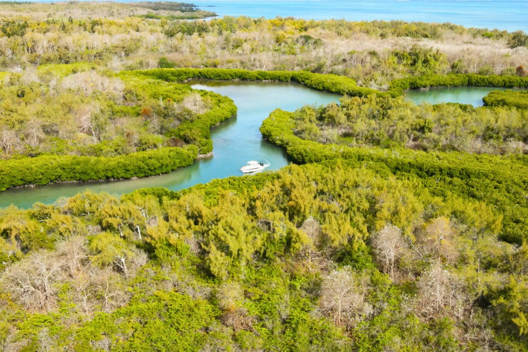 10ILE MAURICE SPEEDBOAT ILE AUX BENITIERS ILE D'AMBRE