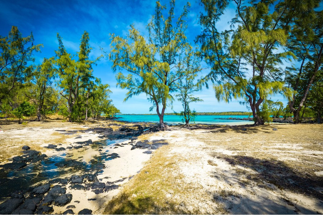 3ILE MAURICE SPEEDBOAT ILE AUX BENITIERS ILE D'AMBRE