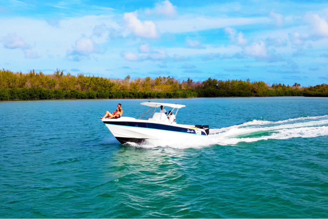 8ILE MAURICE SPEEDBOAT ILE AUX BENITIERS ILE D'AMBRE