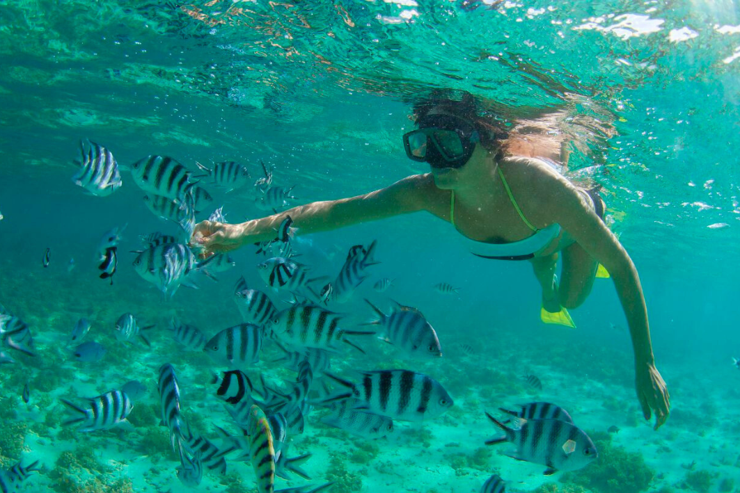 10Snorkeling ile du nord de maurice sejour a maurice