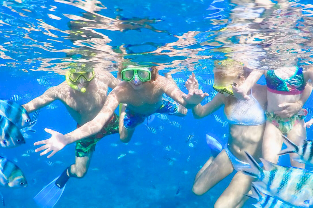 11Snorkeling ile du nord de maurice sejour a maurice