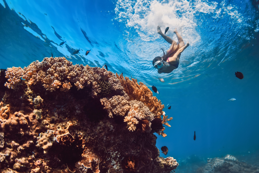 12Snorkeling ile du nord de maurice sejour a maurice