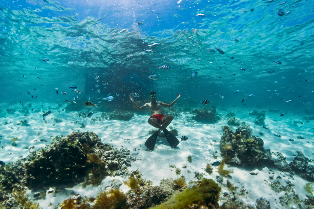 8Snorkeling ile du nord de maurice sejour a maurice