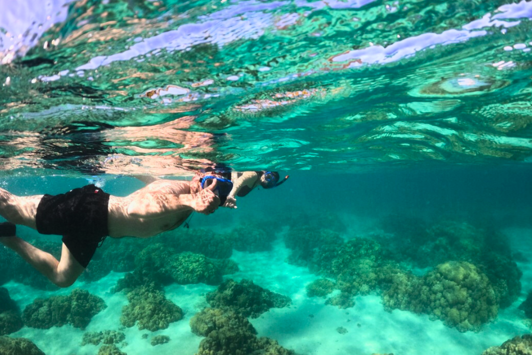 9Snorkeling ile du nord de maurice sejour a maurice