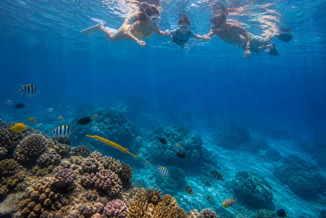 15iles du nord maurice - catamaran snorkeling
