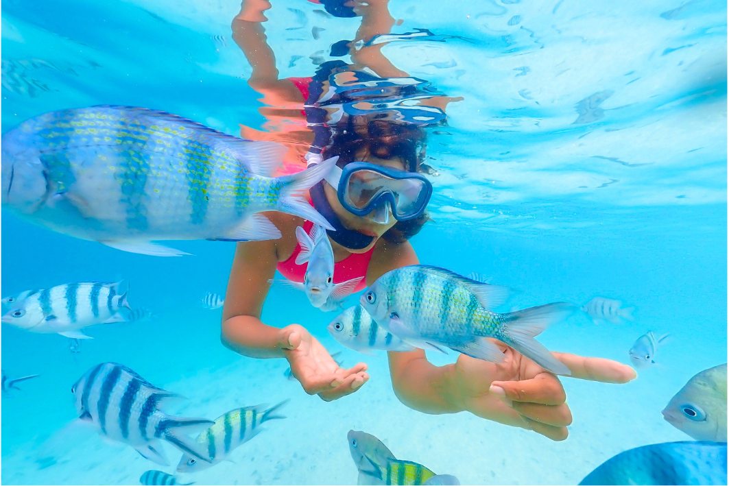 snorkeling ile maurice